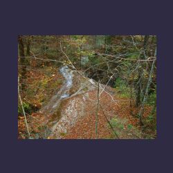 2012-10-20_Fall_AQUILA (331).JPG